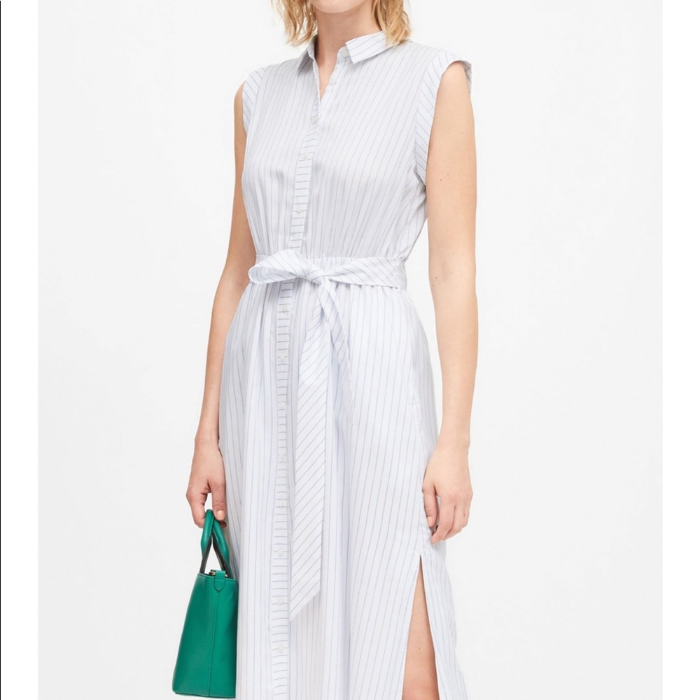 Banana Republic TENCEL Striped Shirt Dress